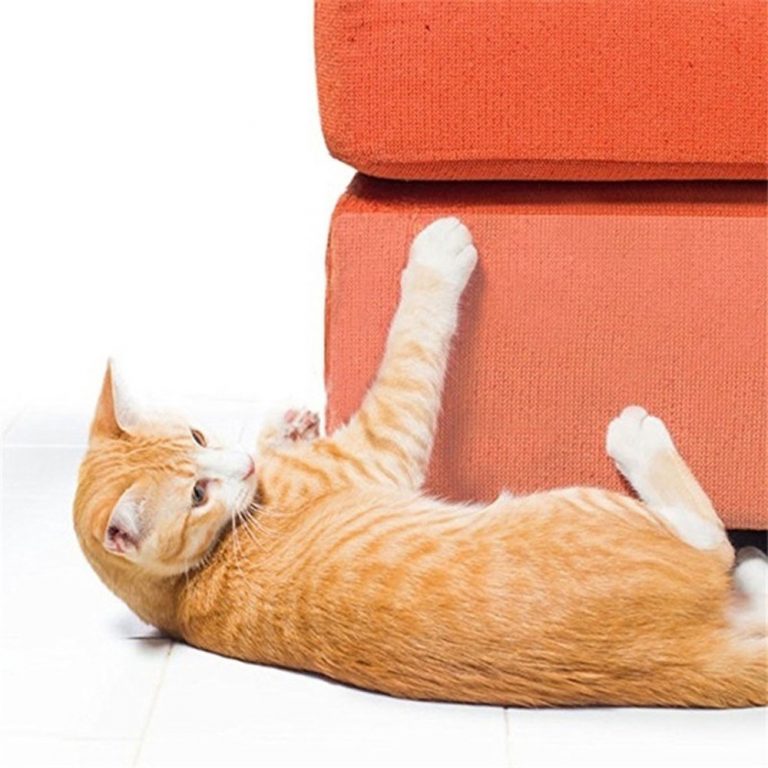 Sử dụng miếng dán chống mèo cào ghế sofa