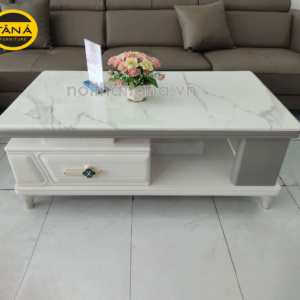Bàn trà sofa mặt đá hiện đại nhập khẩu BT71