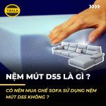 Nệm mút D55 là gì? Sử dụng nệm mút D55 cho sofa phòng khách có chất lượng không