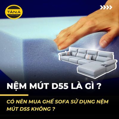 Nệm mút D55 là gì