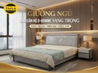 Giường ngủ cho căn hộ D-Homme – Gọn gàng để ngủ sâu, sống thoải mái