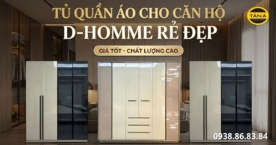 Tủ quần áo cho căn hộ D-Homme