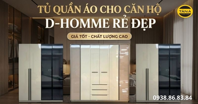 Tủ quần áo cho căn hộ D-Homme