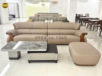 Sofa gỗ mun da siêu sợi nhập khẩu AT-527