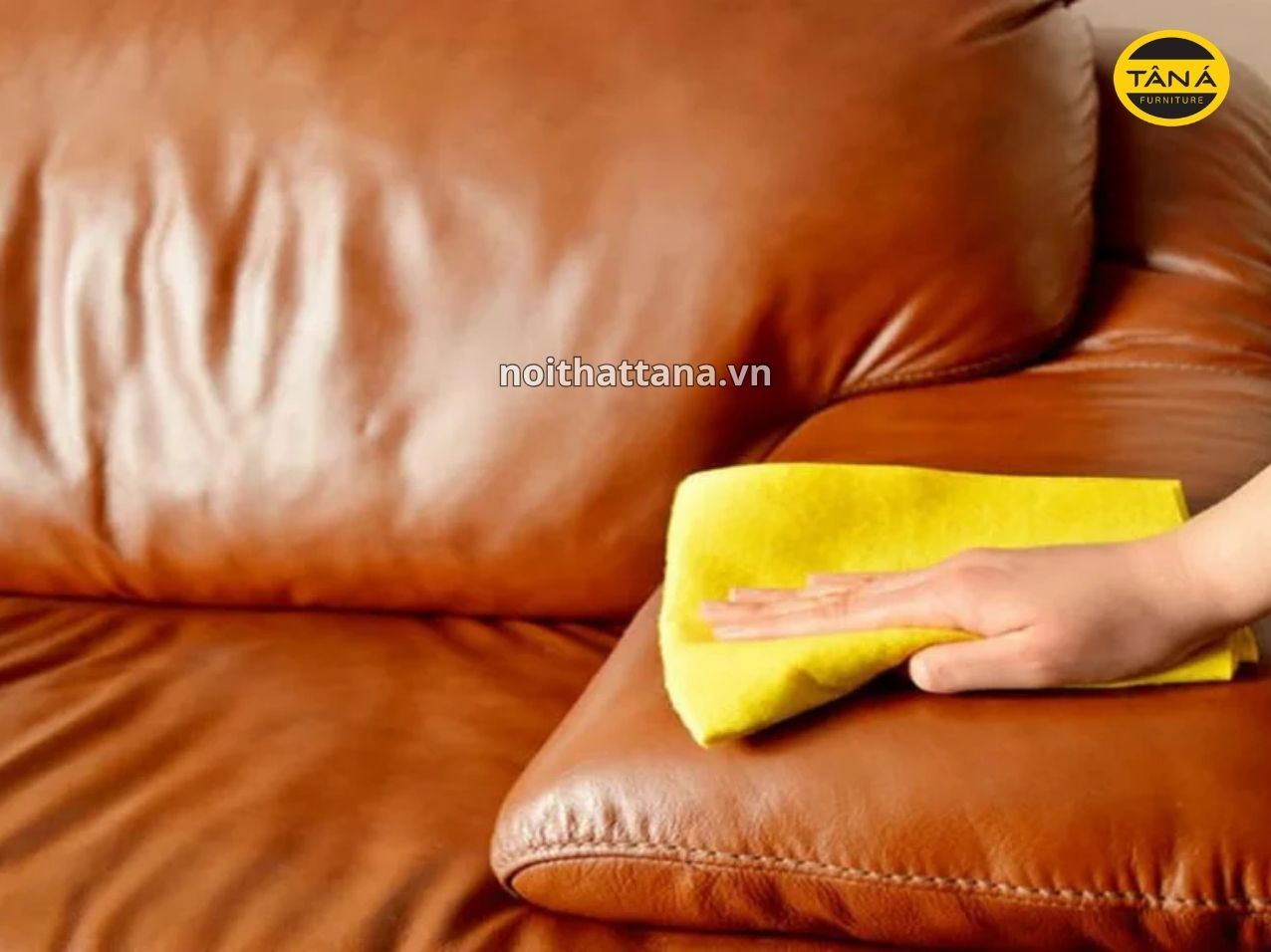 Cách vệ sinh sofa da không bong tróc