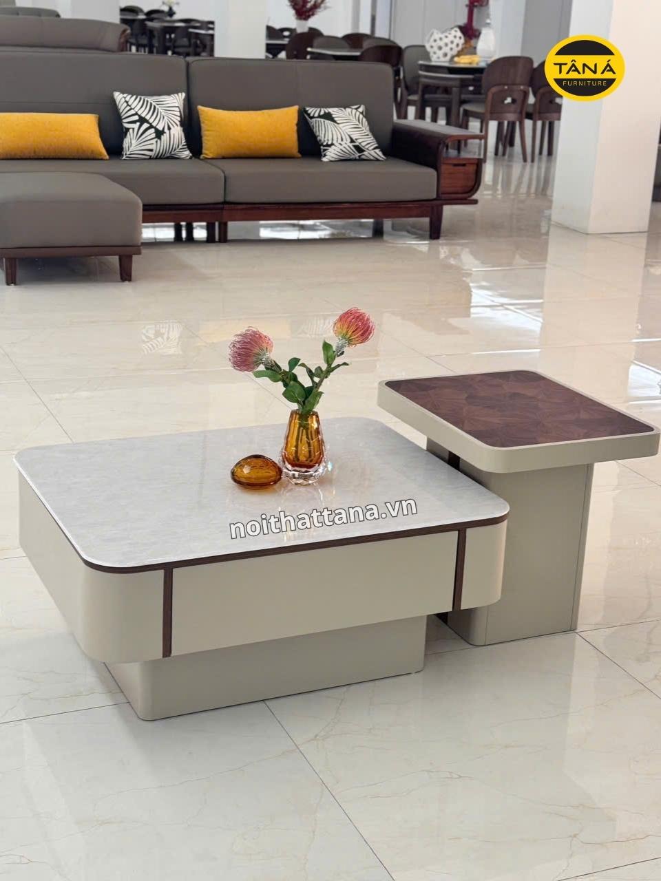 BÀN TRÀ SOFA MẶT ĐÁ AT-Y80 10 at y80 3