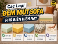 Các Loại Đệm Mút Sofa Phổ Biến Hiện Nay