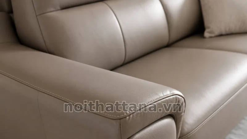da cleo là da gì trong không gian thực tế