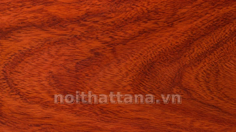gỗ gõ đỏ texture trong không gian nội thất thực tế